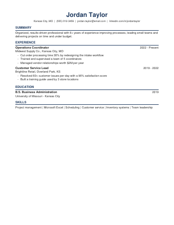 Professional resume template preview